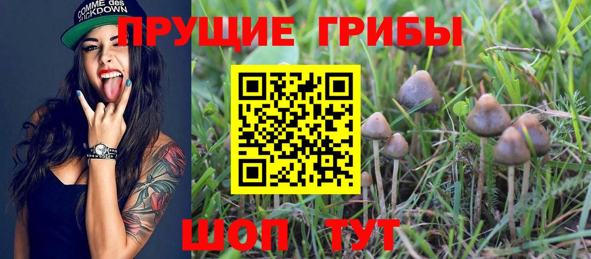 Галлюциногенные грибы Magic Shrooms Нефтекамск